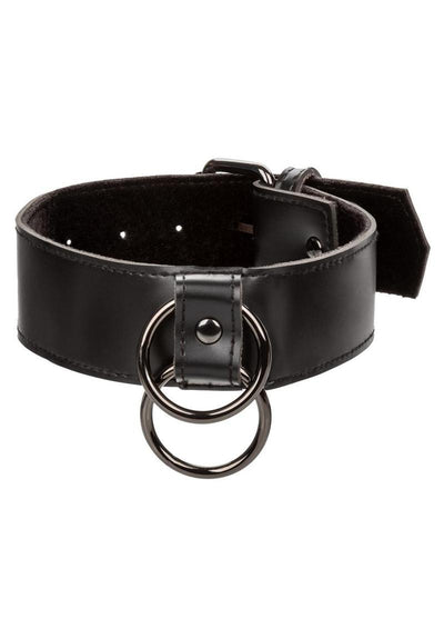 Euphoria Collection Collar with Chain Leash