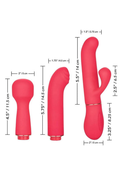 In Touch Passion Trio Rechargeable Silicone Vibrator with 3 Interchangeable Attachments